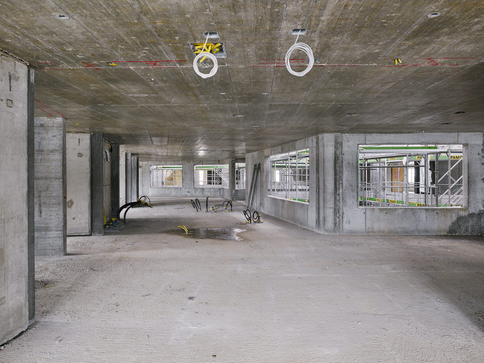 E15541 Alpa 049227 SCREEN